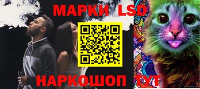 ГАЛЛЮЦИНОГЕННЫЕ ГРИБЫ Обь